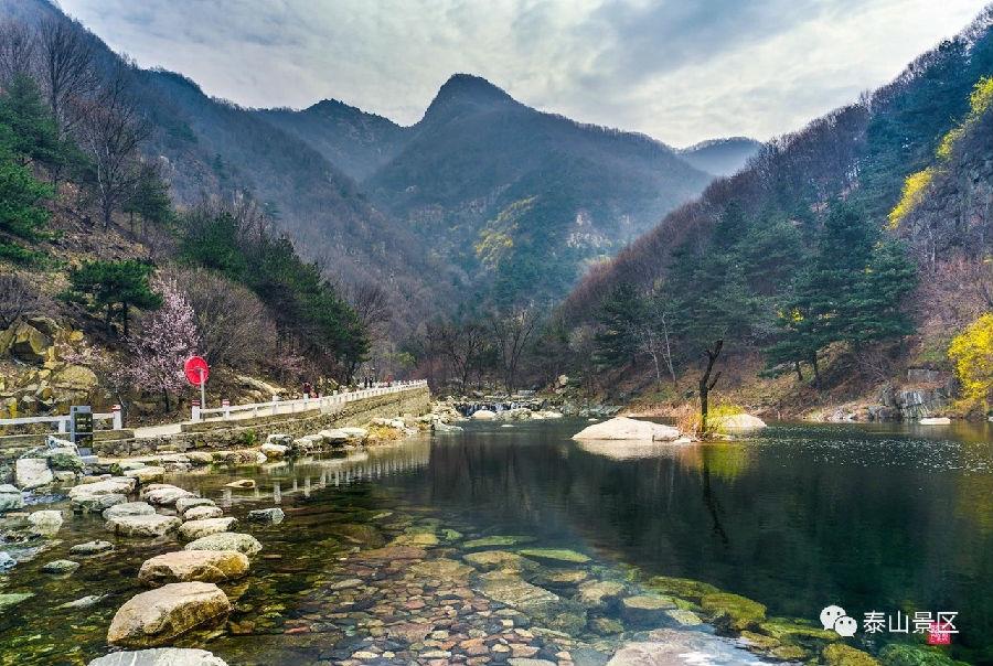 泰山简介9.jpg